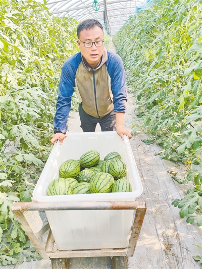 中国配资网 乔帅：“新农人”玩转高科技农业