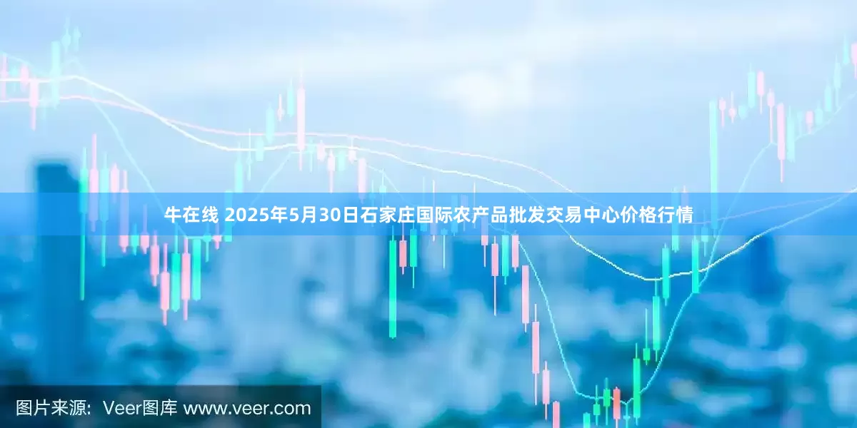 牛在线 2025年5月30日石家庄国际农产品批发交易中心价格行情