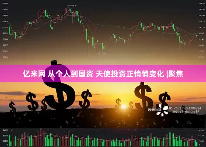 亿米网 从个人到国资 天使投资正悄悄变化 |聚焦