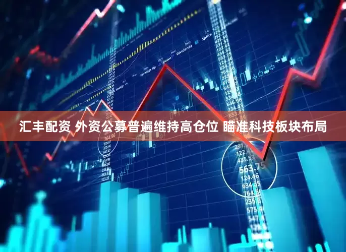 汇丰配资 外资公募普遍维持高仓位 瞄准科技板块布局