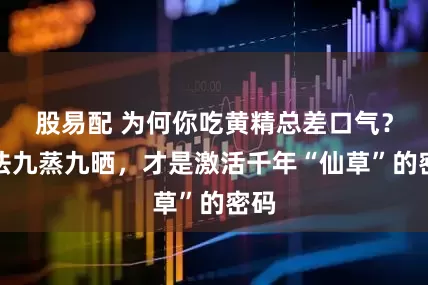 股易配 为何你吃黄精总差口气？古法九蒸九晒，才是激活千年“仙草”的密码